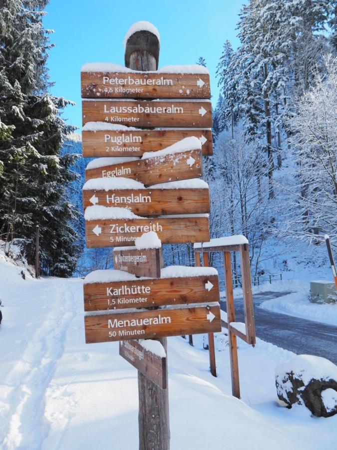 A Pousada Zickerreith Almhutte Rosenau am Hengstpass Exterior foto