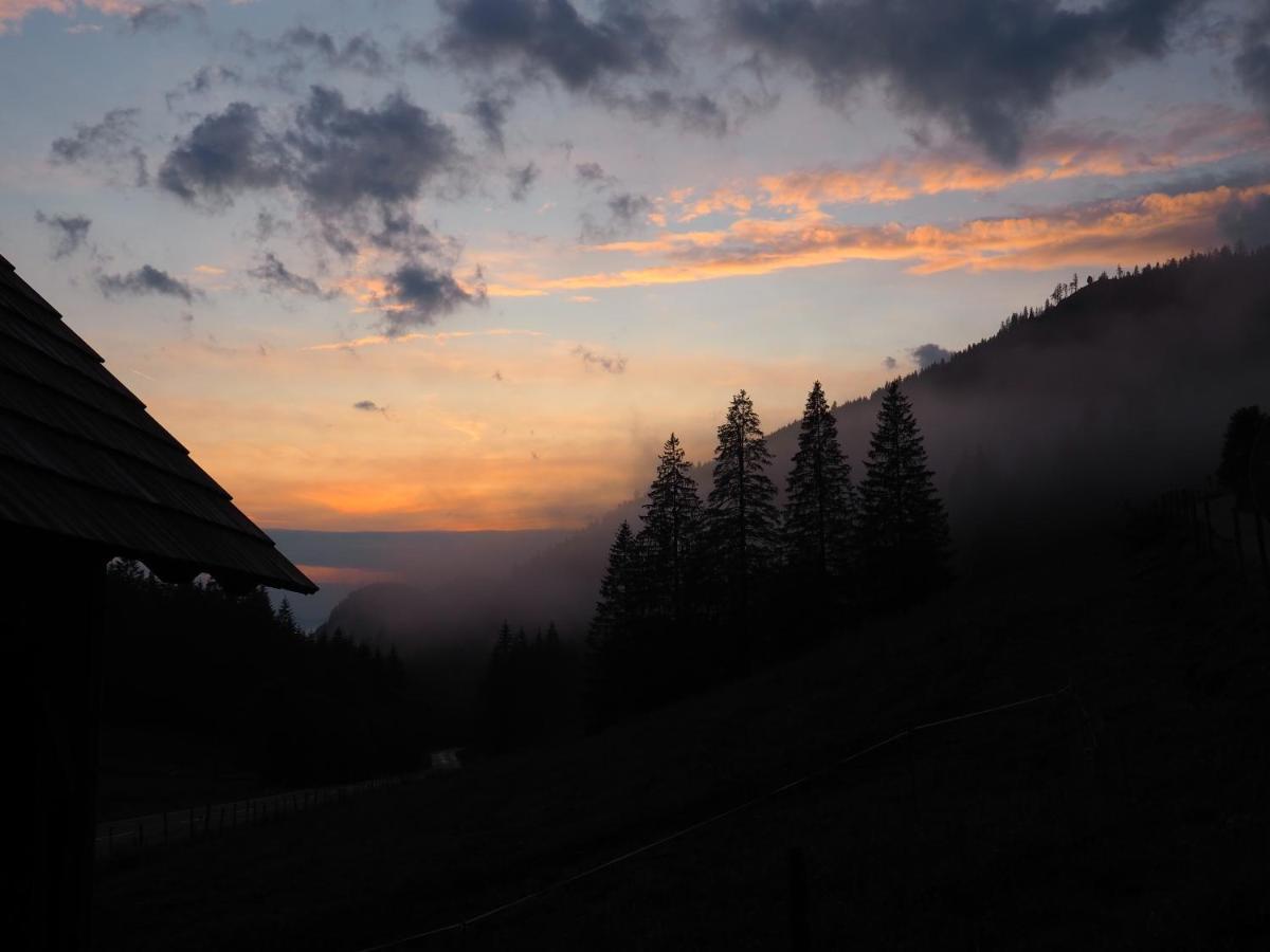 A Pousada Zickerreith Almhutte Rosenau am Hengstpass Exterior foto