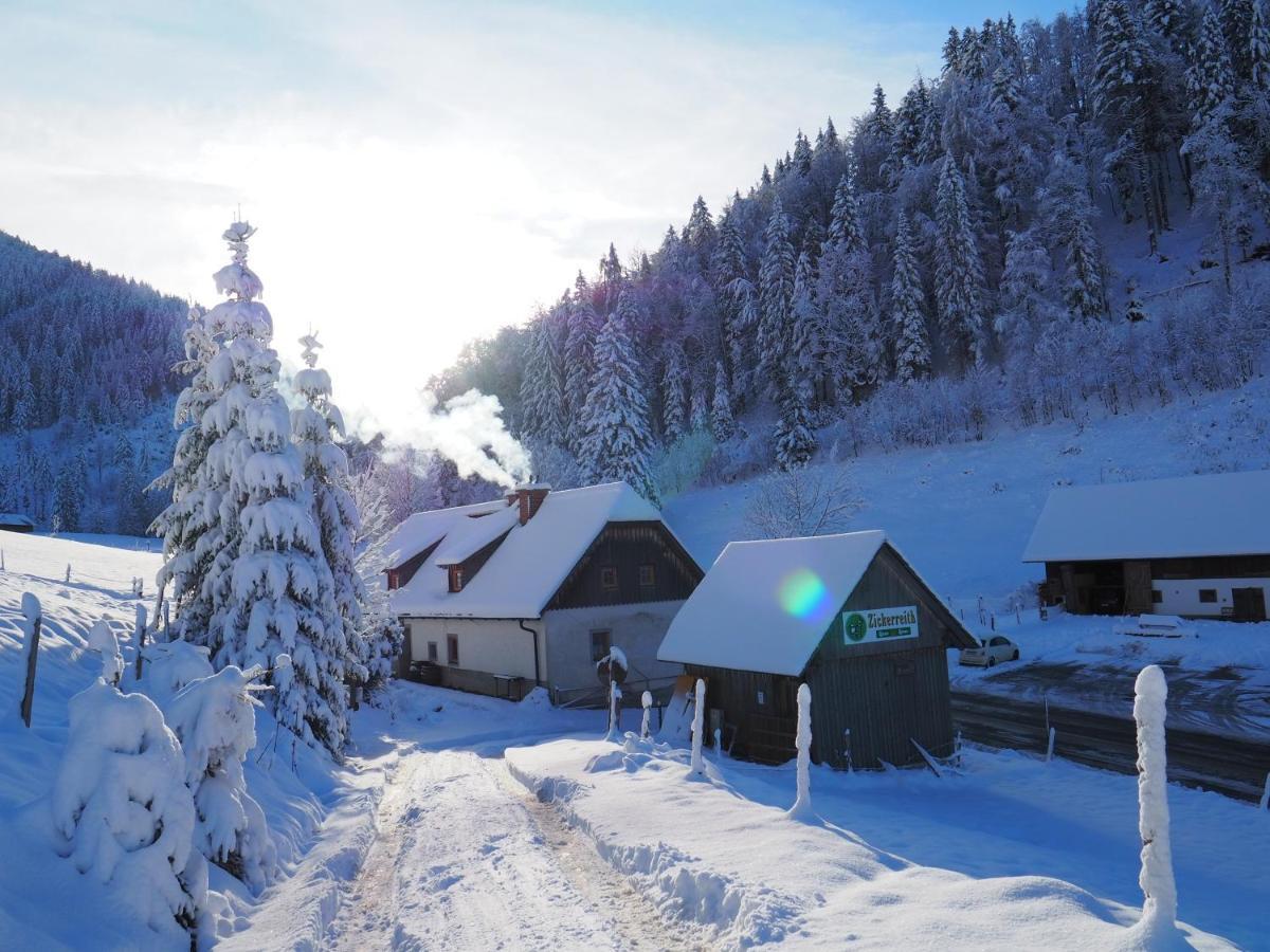 A Pousada Zickerreith Almhutte Rosenau am Hengstpass Exterior foto